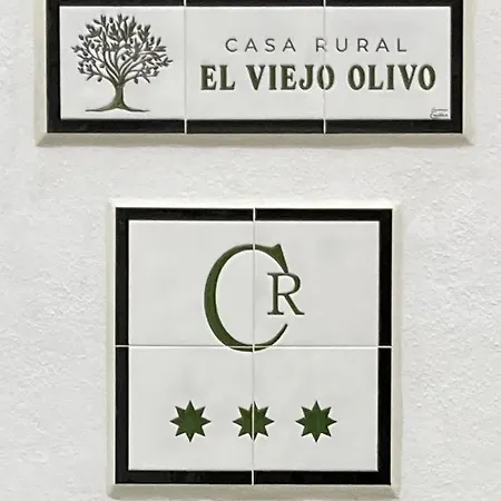 El Viejo Olivo