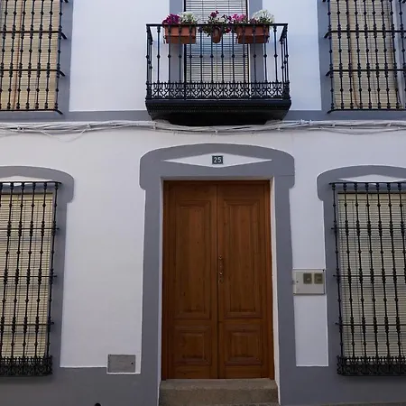 El Viejo Olivo